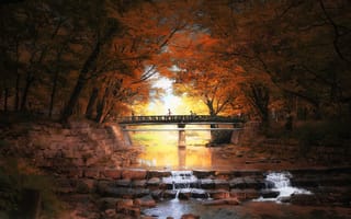 Картинка Южная Корея, парк, деревья, канал, природа, мост, камни, осень