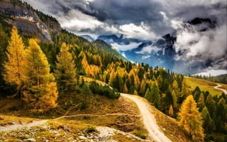 Картинка горы, облака, лес, дорога, Альпы.Италия