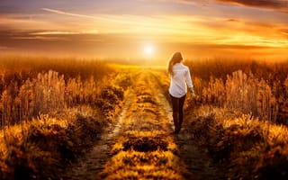 Картинка природа, фотограф, красиво, Alessandro Di Cicco, девушка, закат, поле, дорога