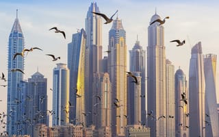 Картинка город, птицы, здания, небоскрёбы