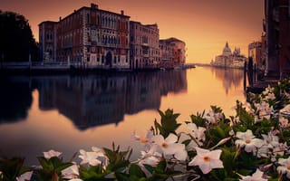 Картинка город, вода, Италия, вечер, цветы, здания, канал, Венеция