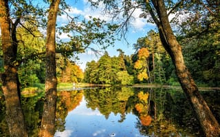 Картинка природа, облака, осень, лес, Украина, река, отражение, пейзаж, небо, Сумская область, деревья, Тростянец