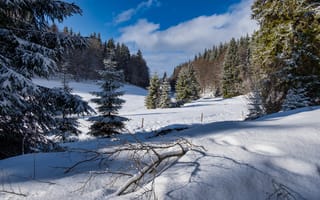 Картинка Тюрингский лес, снег, Германия, зима