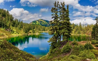 Картинка Природа, горы, леса, США, озеро