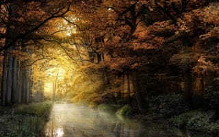 Картинка природа, деревья, берега, парк, канал, осень, водоем, отражение