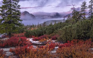 Картинка осень, растительность, пейзаж, туман, природа, горы, деревья, Колыма, Владимир Рябков