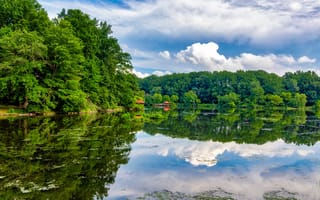 Картинка Озеро, Лес, Отражение, Maryland Lake Elkhorn, Природа, Columbia