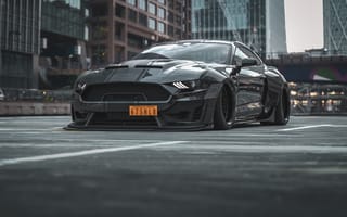Картинка Ford, Shelby, Super, Mustang, Snake