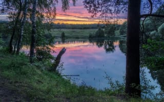 Картинка Дмитрий Мартыненко, берёзы, закат, природа, деревья, лето, пейзаж, озеро