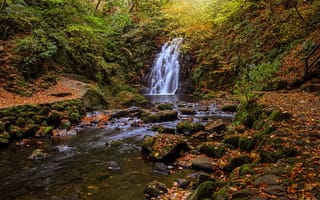 Картинка природа, Barrie Lathwell, Северная Ирландия, мох, осень, листья, водопад, камни