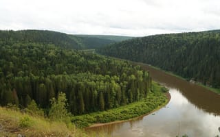 Обои река, лес, природа
