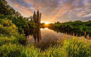 Картинка Канада, кусты, природа, закат, Альберта, лучи, пейзаж, солнце, деревья, река, берега