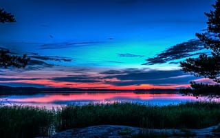 Картинка Швеция, вечер, озеро, Сёдерманланд, провинция, берега, закат, трава, пейзаж, деревья, природа