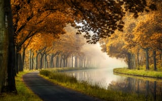 Картинка природа, утро, парк, осень, канал, туман, дорожка