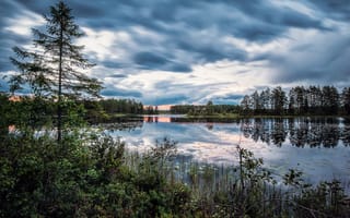 Картинка Швеция, озеро, природа, растительность