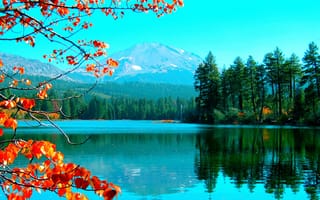 Картинка природа, пейзаж, деревья, ветки, листья, горы, берег, осень, озеро, леса