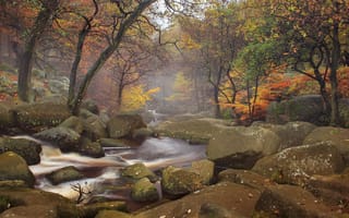 Картинка природа, туман, пейзаж, осень, ручей, лес, деревья, камни
