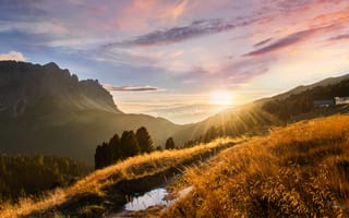 Картинка Николай Мозгунов, трава, горы, пейзаж, склон, природа, леса, солнце, осень, лучи, лужа