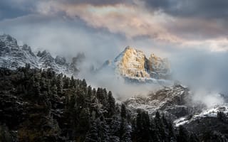 Картинка Николай Мозгунов, деревья, леса, снег, облака, туман, горы, скалы, природа, пейзаж