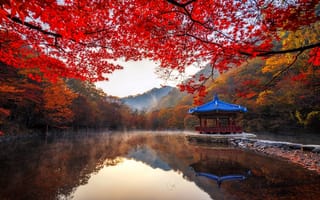 Картинка осень, пруд, Южная Корея, парк, горы, туман, деревья, природа, ветки, Naejangsan, беседка, павильон, пейзаж