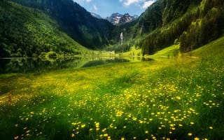 Картинка пейзаж, природа, озеро, водопад, цветы, горы, Tamas Hauk, леса, Альпы, склоны, Австрия, луг