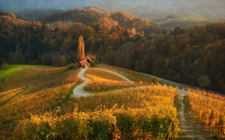 Картинка Краси Матаров, природа, дороги, леса, холмы, Словения, сердце, виноградники, пейзаж, дома
