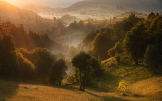 Картинка деревья, холмы, Краси Матаров, пейзаж, Румыния, туман, природа