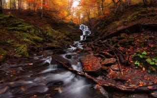 Картинка осень, камни, ручей, деревья, листья, природа