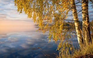 Картинка осень, природа, отражение, облака, пейзаж, озеро, утро, трава, лес, берёзы, Финляндия, берег, деревья, туман