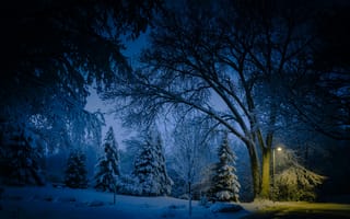 Картинка Миннесота, ночь, парк, зима