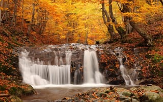 Обои Осень, Листья, Камни, Природа, Лес