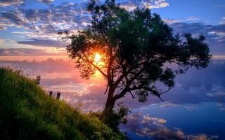 Картинка солнце, Андрей Чиж, дерево, берег, река, пейзаж, утро, природа, рассвет, отражение, облака, склон
