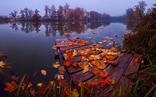 Картинка осень, трава, мосток, пейзаж, листья, озеро, Подмосковье, природа, Константин Воронов