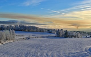 Картинка снег, небо, солнце, деревья