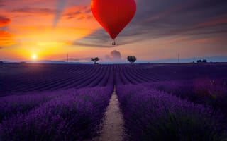 Картинка поле, пейзаж, вечер, воздушный шар, природа, Франция, сердце, закат, лаванда