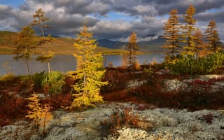 Картинка осень, кустарники, Максим Евдокимов, деревья, природа, озеро Джека Лондона, пейзаж, горы, растительность, Колыма, облака