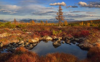 Картинка осень, пейзаж, природа, растительность, Колыма, водоём, камни, Максим Евдокимов, горы