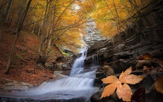 Картинка осень, деревья, природа, камни, Roberto Aldrovandi, листья, пейзаж, лес, водопад, каскад
