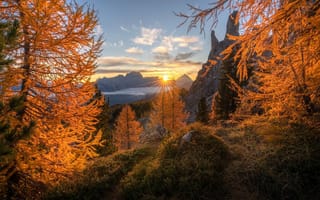 Картинка Андрей Базанов, деревья, лучи, Италия, Доломиты, горы, закат, осень, солнце, природа