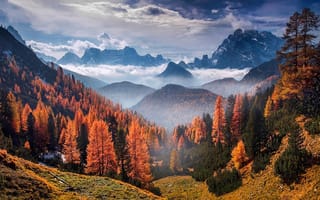 Картинка лес, горы, природа, осень