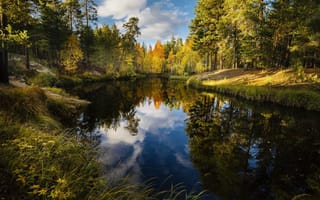 Обои Природа, лес, осень, река