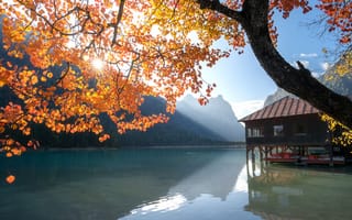 Картинка осень, лучи, пейзаж, Андрей Базанов, дерево, ветки, пристань, Доломиты, горы, солнце, озеро, природа