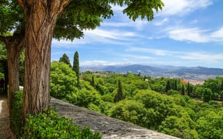 Картинка деревья, пейзаж, Испания, Гранада, природа, город, аллея