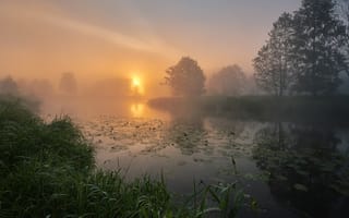 Картинка Григорий Бельцев, пейзаж, рассвет, природа, лето, деревья, река, берега, утро, трава