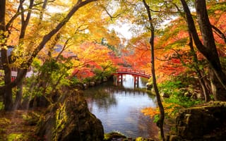 Картинка осень, природа, парк, мостик, камни, пруд, пейзаж, деревья, свет, лучи, Япония