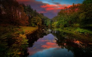 Картинка трава, деревья, пруд, закат, пейзаж, кусты, природа, парк, США