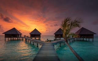 Картинка Мальдивы, море, бунгало, пальма, пейзаж, природа, мостик, закат