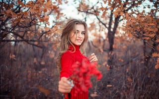 Картинка девушка, осень, свитер