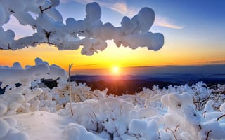 Картинка зима, солнце, деревья, Южная Корея, ветки, Deogyusan, небо, национальный парк, пейзаж, природа, снег, утро, горы, заповедник, лучи, рассвет