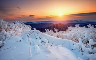 Картинка зима, снег, природа, утро, национальный парк, горы, Тогюсан, заповедник, солнце, рассвет, пейзаж, Южная Корея, Deogyusan, деревья